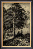 Wild Pine Print by Ernst Heyn
