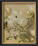 Magnolia and Butterfly Prints