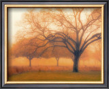 Memory of Trees Posters by M. Ellen Cocose