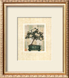 Azalea Bonsai Art by Gloria Eriksen