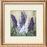 Larkspur in Blues Prints by Katharina Schottler