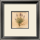 Lavender Posters by Carolyn Shores-Wright