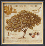Figuiers du Midi Prints by Pascal Cessou