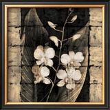 Orchids in Bloom I Prints by John Seba