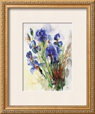 Iris Posters by J. Hammerle
