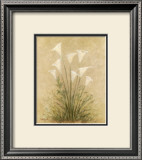 Lirios de Calla Póster por Debra Lake