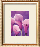 Energy in Pink Prints by Alicia Sloan