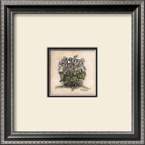 Mixe Pansies Art by Mary Hughes