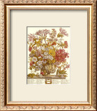 Twelve Months of Flowers, 1730, October Pósters por Robert Furber Twelve Months of Flowers, 1730, October Pósters por Robert Furber
