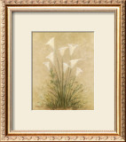 Calla Lilies Posters by Debra Lake