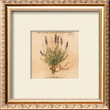 Lavender Prints by Carolyn Shores-Wright