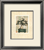 Azalea Bonsai Posters by Gloria Eriksen