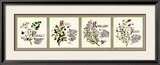 Kitchen Herbs II Prints by G. Phillips