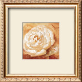 Good Year for the Rose Prints by Gabor Barthez