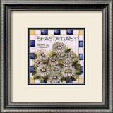 Shasta Daisy Prints by Joy Marie Heimsoth