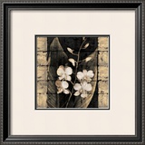 Orchids in Bloom I Poster by John Seba