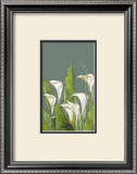 Calas Blancas Print by Ximena 