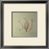 Trio of Skelton Leaves Prints by Ed Goldstein