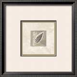 Elm Leaf Prints by Diane Kline