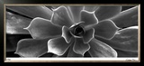 Stillness I Limited Edition Framed Print by Anthony Tahlier