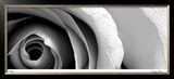 Stillness III Limited Edition Framed Print by Anthony Tahlier
