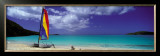 Shell Beach, Antigua Prints by Tom Mackie