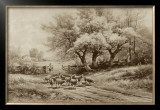 Herding Sheep Posters by Carl Weber