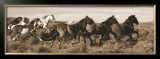 Wild Horses Posters by Claude Steelman