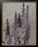 Foxgloves I Prints by Chariklia Zarris