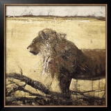 Lion Prints by Emmanuel Michel