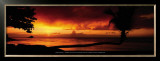 Tropical Beach at Sunset with Leaning Palm, Caribbean Art by Tom Mackie