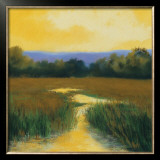 Yellow Sky Stream Prints by Lois Gold