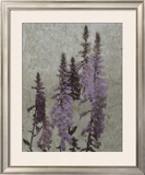 Foxgloves I Print by Chariklia Zarris