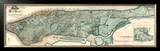 Sanitary and Topographical Map of the City and Island of New York, c.1865 Impressão giclée emoldurada por Egbert L. Viele Sanitary and Topographical Map of the City and Island of New York, c.1865 Impressão giclée emoldurada por Egbert L. Viele