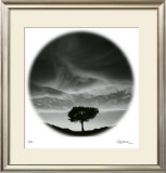 Sunlit Tree Limited Edition Framed Print by Ken Paul