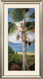 Fan Palm Prints by Deborah Thompson