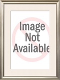 U.S. Army Air Force, Pursuit Biplane Framed Giclee Print by Jesse Davidson