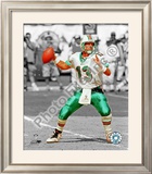 Dan Marino Framed Photographic Print