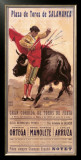 Plaza de Toros de Salamanca Framed Giclee Print