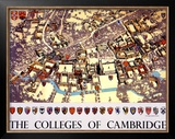 The Colleges of Cambridge Framed Giclee Print by Fred Taylor