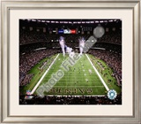 Superdome Framed Photographic Print