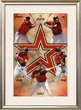 Houston Astros 2010 Posters
