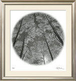 Sunlit Clearing Limited Edition Framed Print by Ken Paul