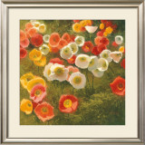 Faces of Persistence Prints by Shirley Novak