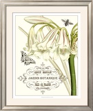 Jardin Botanique I Prints