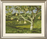 The Gourd Tree Prints by Jamie Wyeth
