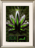 Marijuana - High Test Posters
