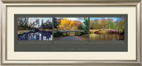 Central Park Bridges Prints by Phil Maier
