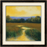 Yellow Sky Stream Prints by Lois Gold