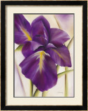 Purple Blossom I Posters by Caroline Wenig